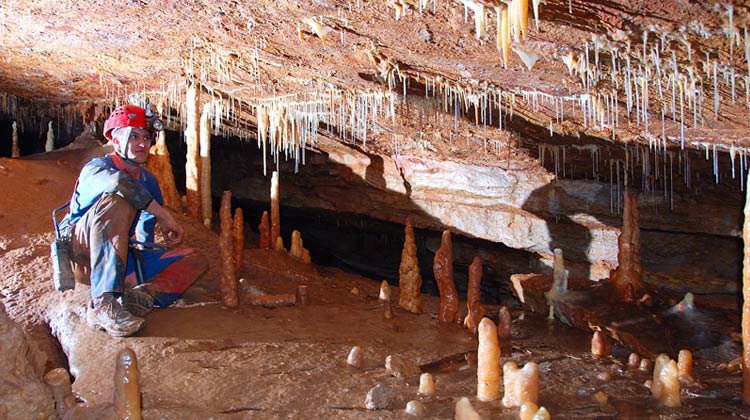 Concrétions dans les gorges du Tarn