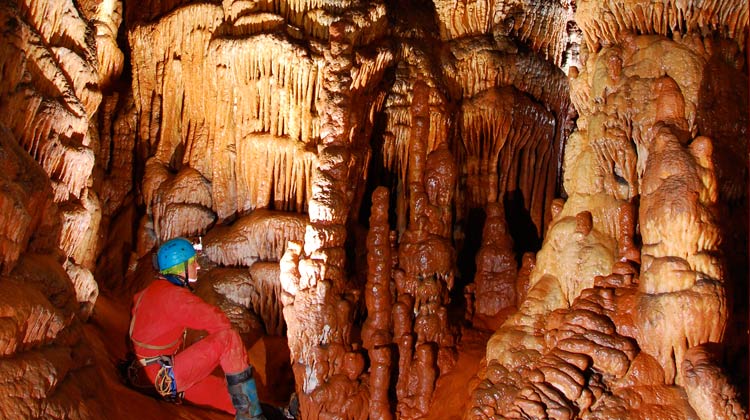 Stalactites dans l'Aven de la Perrine