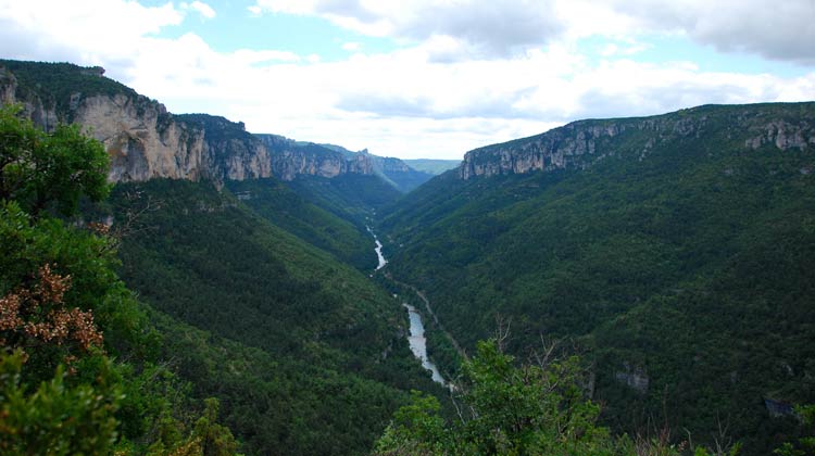 Gorges du Tarn