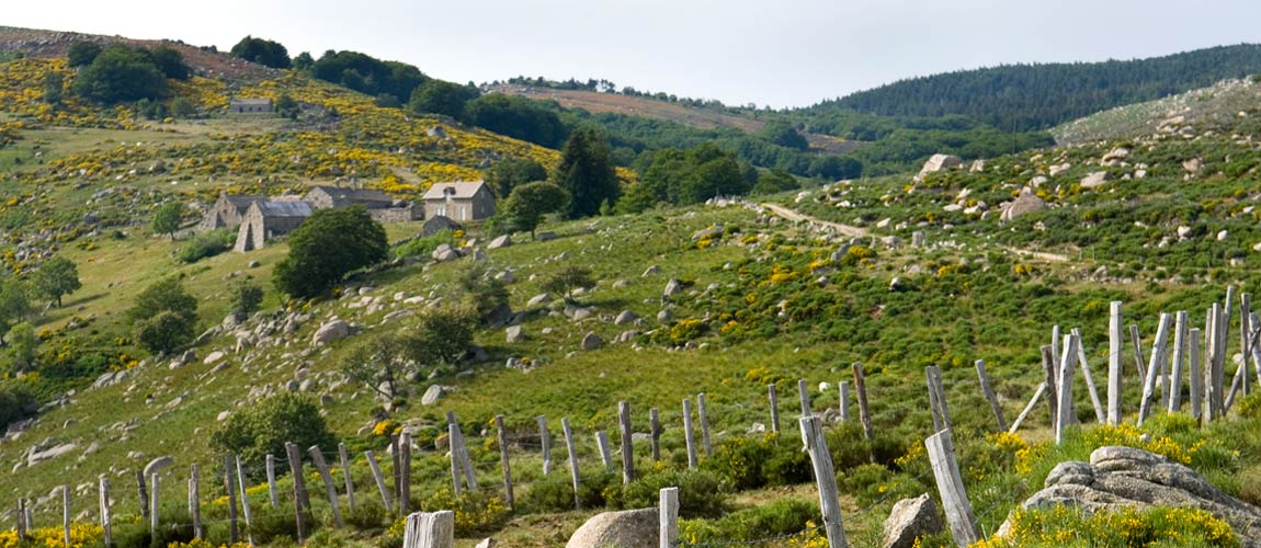 Les sources du Mont Lozère