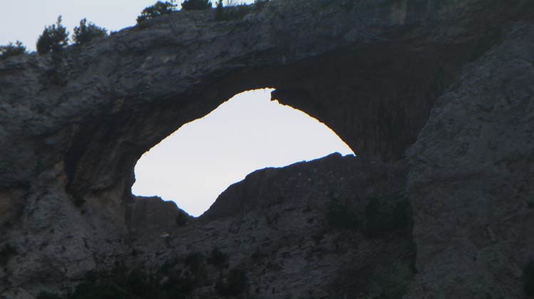 Dauphin dans les gorges du Mascun